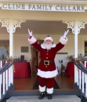 Santa Dale at Cline Family Cellars